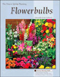 Flower Bulb Fundraiser